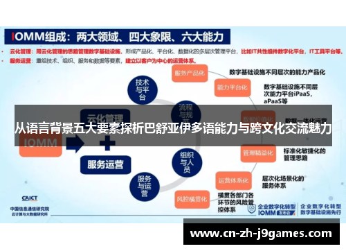 从语言背景五大要素探析巴舒亚伊多语能力与跨文化交流魅力
