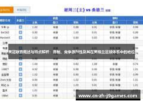 英冠联赛概述与特点解析：赛制、竞争激烈性及其在英格兰足球体系中的地位