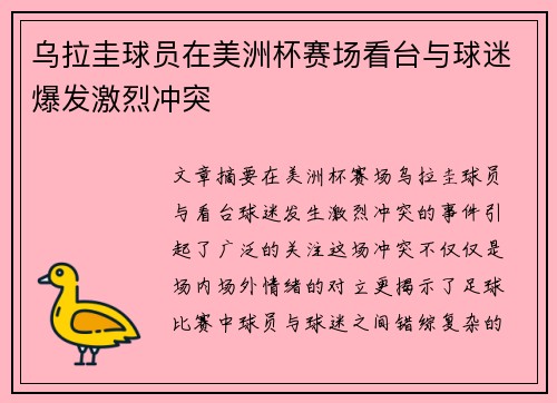 乌拉圭球员在美洲杯赛场看台与球迷爆发激烈冲突