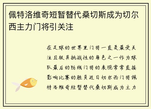 佩特洛维奇短暂替代桑切斯成为切尔西主力门将引关注